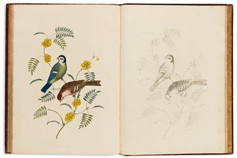 BROOKSHAW, GEORGE. Groups of Flowers; Groups of Fruit; Six Birds,